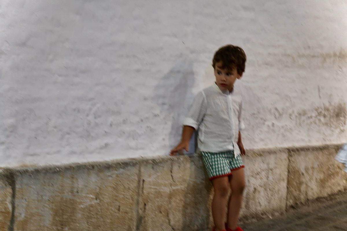 Read more about the article The primacy of feeling in the role of human intelligence and culture