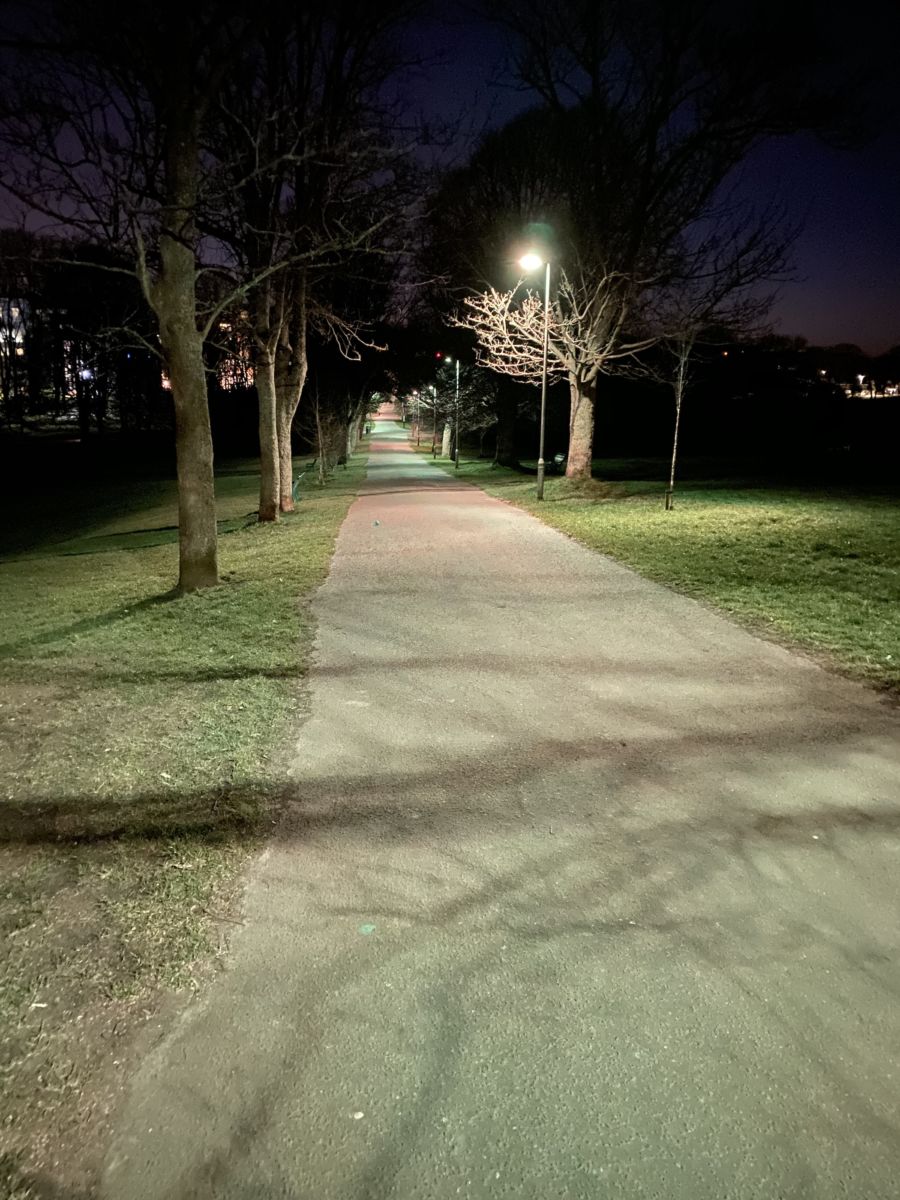 Read more about the article “In Corona Times”