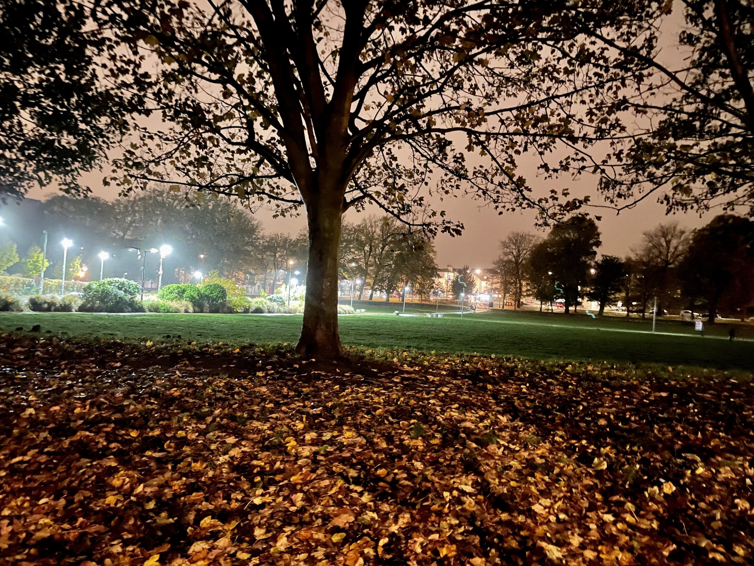 Read more about the article An existential take on living through the pandemic